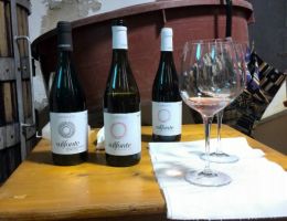 Immagine 1 di CERASUOLO D'ABRUZZO D.O.C.