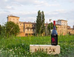 Immagine 2 di BURSÔN RAVENNA ROSSO I.G.T.