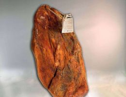 Immagine 1 di VENTRICIANA DI POGGIO CANCELLI