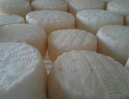 Immagine 1 di Caciotta Frentana Stagionata