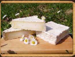 Immagine 1 di FORMAGGIO MONTANARA