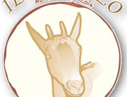 Immagine 2 di FORMAGGIO MONTANARA