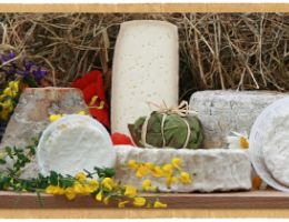 Immagine 3 di FORMAGGIO MONTANARA