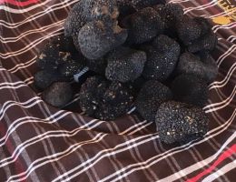 Immagine 3 di Tartufo di San Mianiato