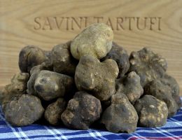 Immagine 4 di Tartufo di San Mianiato