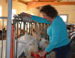 Immagine 2 di WÜRSTEL DI CAPRA CON OLIO EXTRA VERGINE DI TENNO DELLADIO NICOLETTA