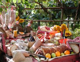 Immagine 2 di FINOCCHIONA I.G.P.