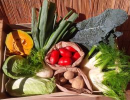 Immagine 1 di Frutta&Verdura Bio