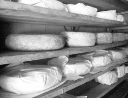 Immagine 3 di PECORINO EXTRASTAGIONATO DEL GRAN SASSO