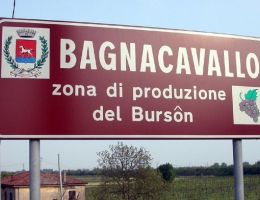 Immagine 2 di BURSÔN  I.G.T. RAVENNA UVA LONGANESI ETICHETTA BLU