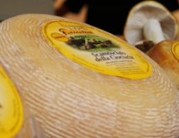 Immagine 1 di Scamosciato della Ciociaria