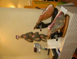 Immagine 5 di CULETTA TRADIZIONE SALUMI