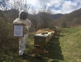 Immagine 2 di MIELE DI QUALITA' SUPERIORE