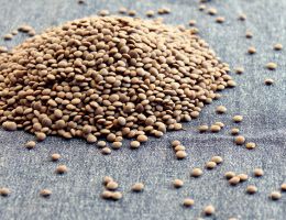 Immagine 1 di LENTICCHIA DI S. DI SESSANIO