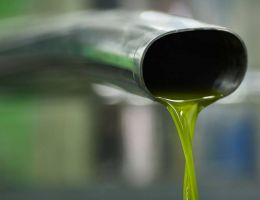 Immagine 4 di OLIO EXTRAVERGINE DI OLIVA BIO BLEND DI QUALITA' SUPERIORE LA DRUPA