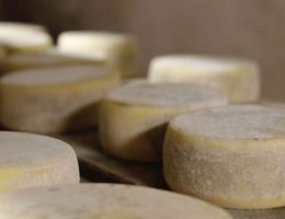 Immagine 1 di FORMAGGI A LATTE CRUDO DELLA VALNERINA