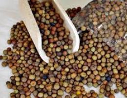 Immagine 1 di LA ROVEJA DI CIVITA DI CASCIA