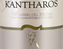 Immagine 1 di TREBBIANO DEL MOLISE D.O.C. KANTAROS