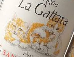 Immagine 1 di PECORINO I.G.T. COLLI APRUTINI