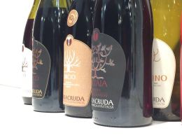 Immagine 1 di PERGOLA D.O.C. ALEATICO SUPERIORE ORTAIA