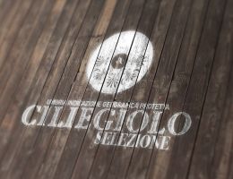 Immagine 1 di CILIEGIOLO SELEZIONE ROSSO UMBRIA I.G.P.