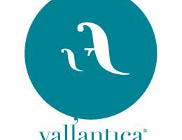 Immagine 3 di CILIEGIOLO SELEZIONE ROSSO UMBRIA I.G.P.