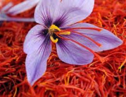 Immagine 1 di ZAFFERANO DI CASCIA