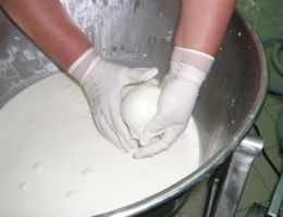 Immagine 1 di MOZZARELLA FIOR DI LATTE
