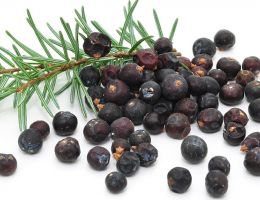 Immagine 2 di CONFETTURE & MARMELLATE DI ALTISSIMA QUALITA'