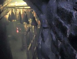 Immagine 3 di VIOLINO DI PROSCIUTTO di Montorio ®