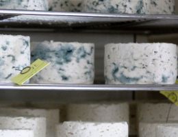 Immagine 4 di FIOR BLU LATTE CRUDO DI CAPRA