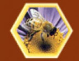 Immagine 2 di MIELE DI ACACIA