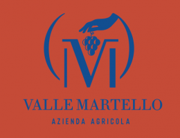 Immagine 5 di VILLAMAGNA D.O.C. RISERVA I DUE ARCHI