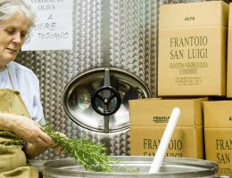 Immagine 2 di OLIO EXTRA VERGINE DI OLIVA L'ORO DI MAREMMA ALTA QUALITA'