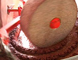 Immagine 4 di OLIO EXTRA VERGINE DI OLIVA L'ORO DI MAREMMA ALTA QUALITA'