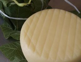 Immagine 2 di MOZZARELLA VACCINA