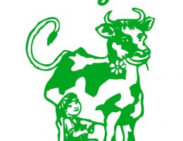 Immagine 4 di MOZZARELLA VACCINA