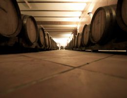 Immagine 2 di ROSSO PICENO SUPERIORE D.O.P. MARINUS