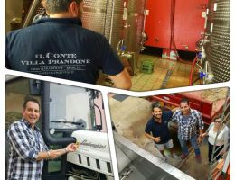 Immagine 4 di ROSSO PICENO SUPERIORE D.O.P. MARINUS