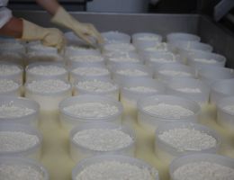 Immagine 2 di RICOTTA DI PECORA DI CASTELLUCCIO DI NORCIA  AGRI IL SENTIERO DELLE FATE