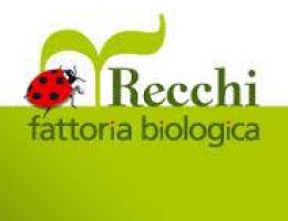 Immagine 5 di PROSCIUTTO CRUDO DEL PARCO GALEANO ​​​​​​​FATTORIA BIO RECCHI