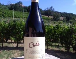 Immagine 5 di OFFIDA PECORINO D.O.C.G. LINEA TOP CERI'