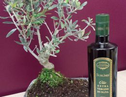 Immagine 1 di OLIO EXTRAVERGINE DI OLIVA BLEND DI CATEGORIA SUPERIORE SUBLIMIS