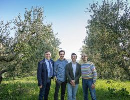 Immagine 4 di OLIO EXTRAVERGINE DI OLIVA BLEND DI CATEGORIA SUPERIORE SUBLIMIS