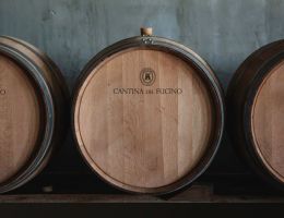 Immagine 4 di MONTEPULCIANO D'ABRUZZO D.O.C. NOEMO