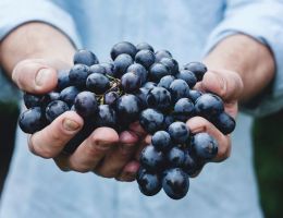 Immagine 5 di MONTEPULCIANO D'ABRUZZO D.O.C. NOEMO
