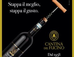 Immagine 1 di MONTEPULCIANO D'ABRUZZO D.O.C. NOEMO