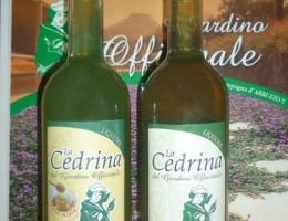 Immagine 1 di LIQUORE DI CEDRINA