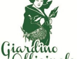 Immagine 2 di LIQUORE DI CEDRINA