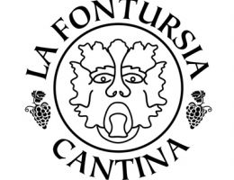 Immagine 2 di FALERIO DEI COLLI ASCOLANI D.O.C. FONTURSIO